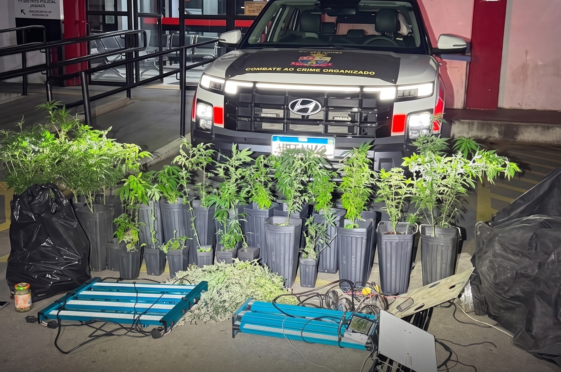 PM DESMANTELA LABORATÓRIO DE MACONHA NA ZONA NORTE DE SÃO PAULO